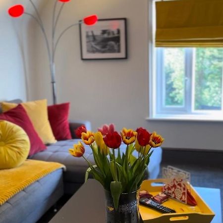 Green Corner Villa - No.5 Walls Hill Apartment Torquay Extérieur photo